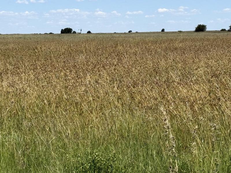 0 Bedroom Property for Sale in Bothaville Free State